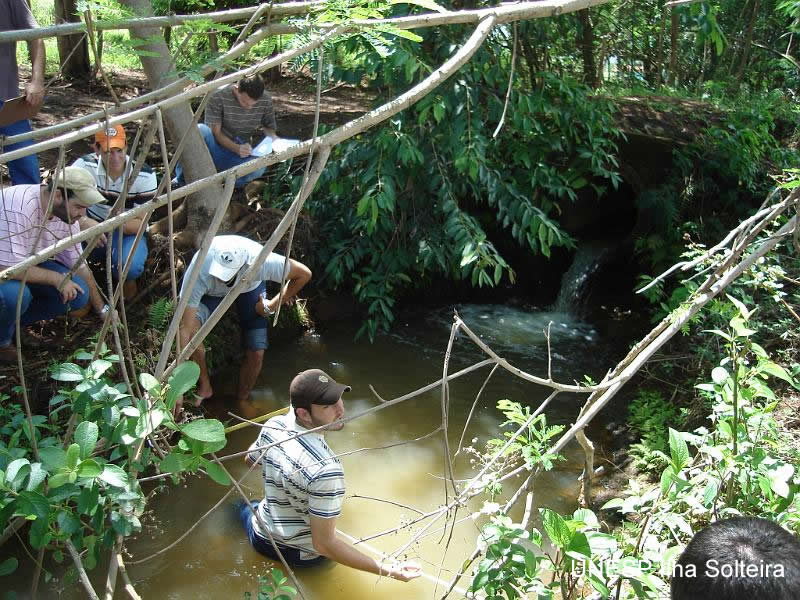 aula_pratica_5out2009 (82).jpg